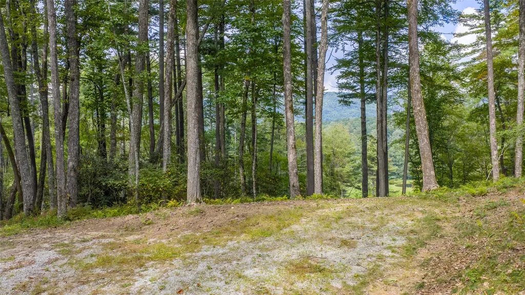 FE-3 Triple Farm Road Cashiers NC 28717