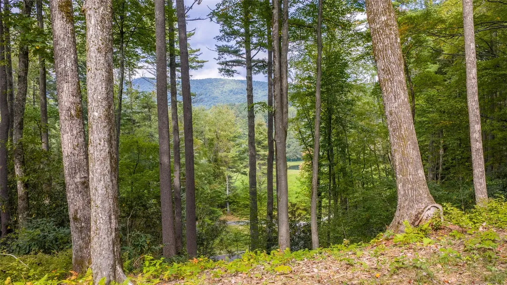 FE-3 Triple Farm Road Cashiers NC 28717