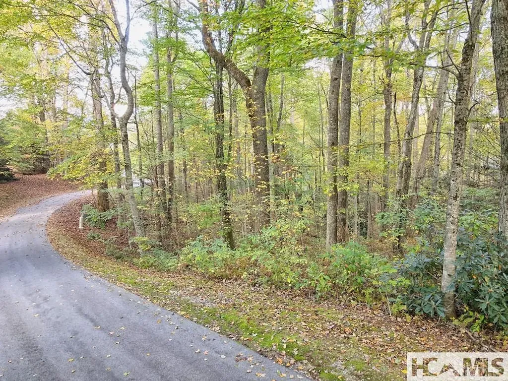 228 Audubon Trail Cashiers NC 28717