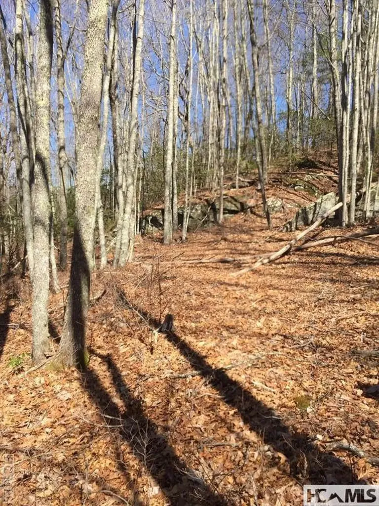 228 Audubon Trail Cashiers NC 28717