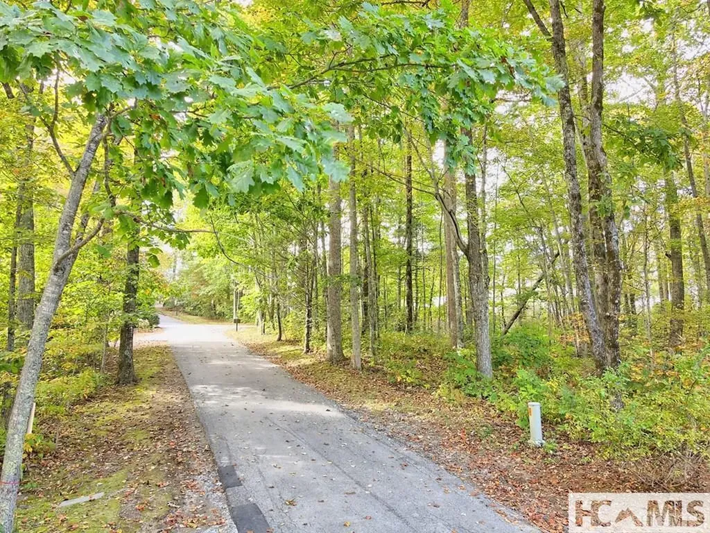 228 Audubon Trail Cashiers NC 28717