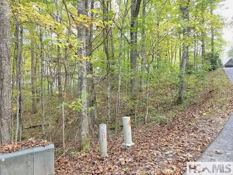 228 Audubon Trail Cashiers NC 28717