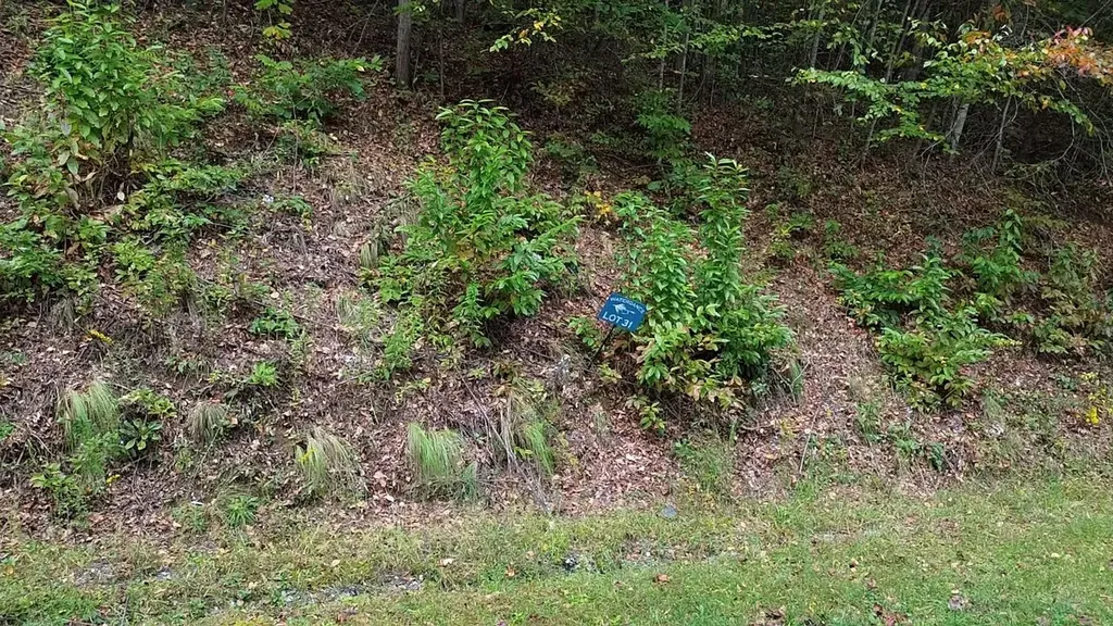 31 Waterdance Drive Cullowhee NC 28723