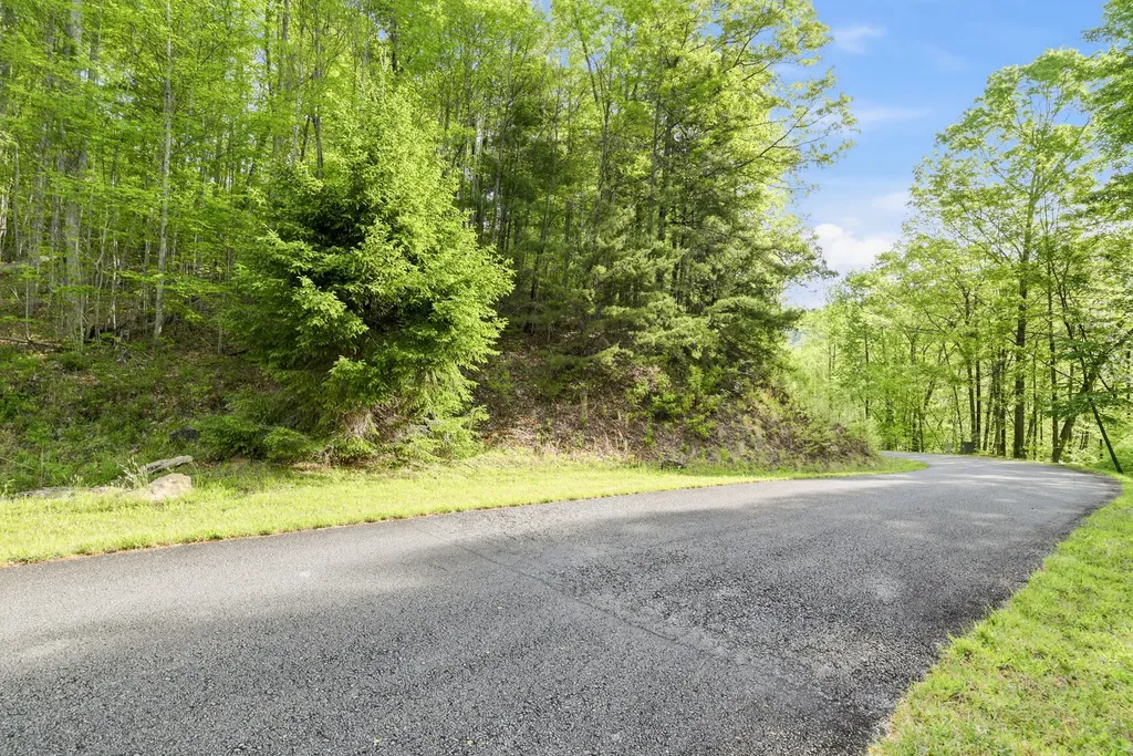 31 Waterdance Drive Cullowhee NC 28723