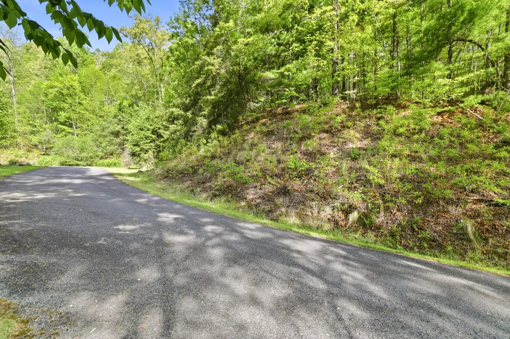 31 Waterdance Drive Cullowhee NC 28723