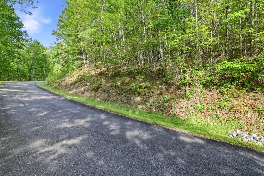 31 Waterdance Drive Cullowhee NC 28723