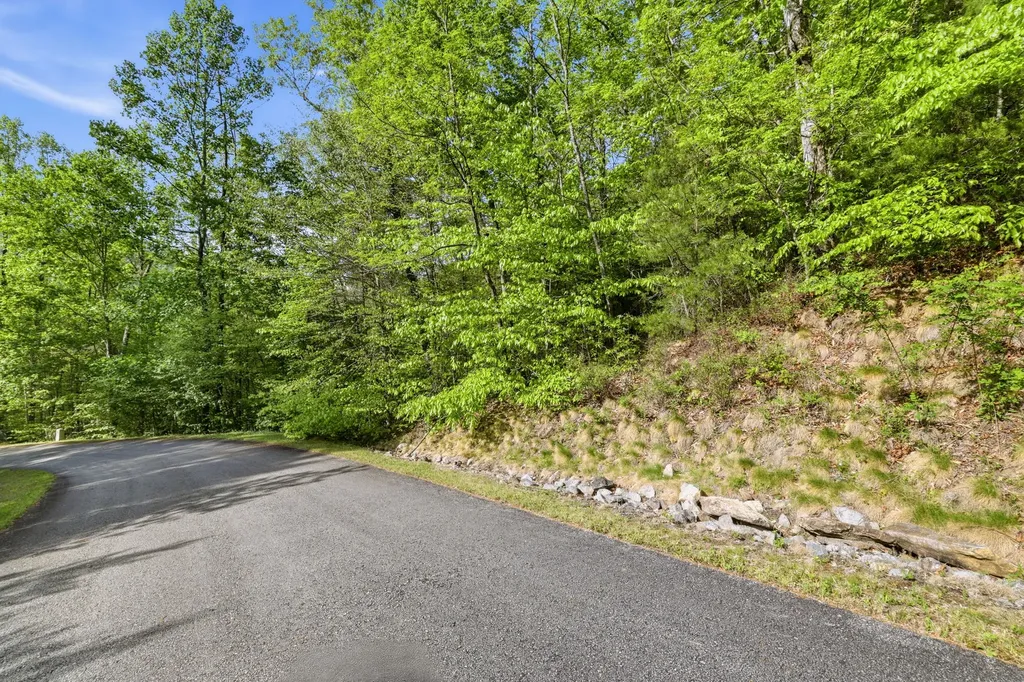 31 Waterdance Drive Cullowhee NC 28723