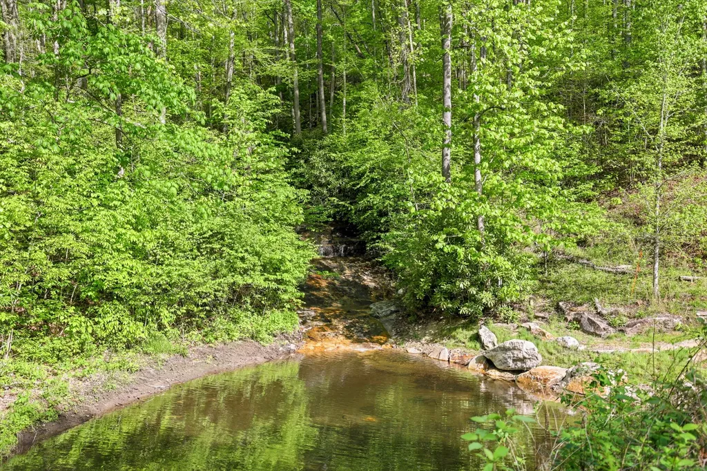 31 Waterdance Drive Cullowhee NC 28723