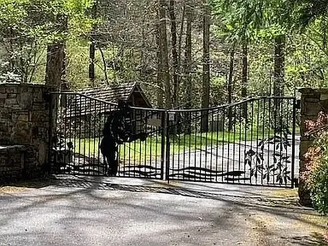 31 Waterdance Drive Cullowhee NC 28723