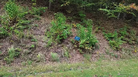 31 Waterdance Drive Cullowhee NC 28723