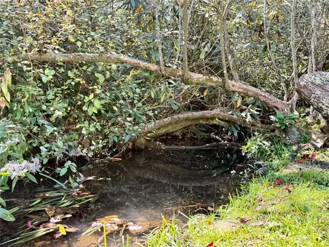 15 Elk Cove Road Cashiers NC 28717