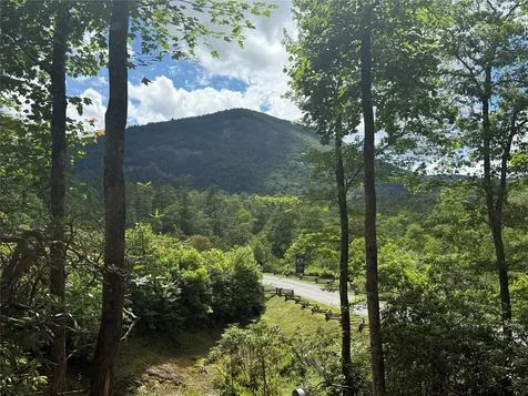 75 Cats Eye Run Highlands NC 28741
