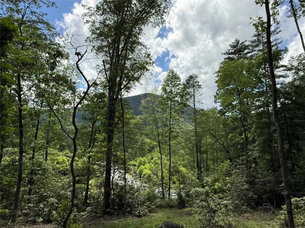 15D Cats Eye Run Highlands NC 28741