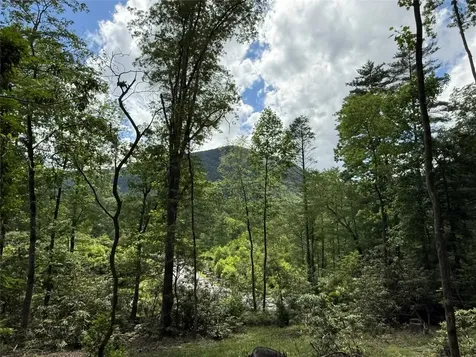 15D Cats Eye Run Highlands NC 28741