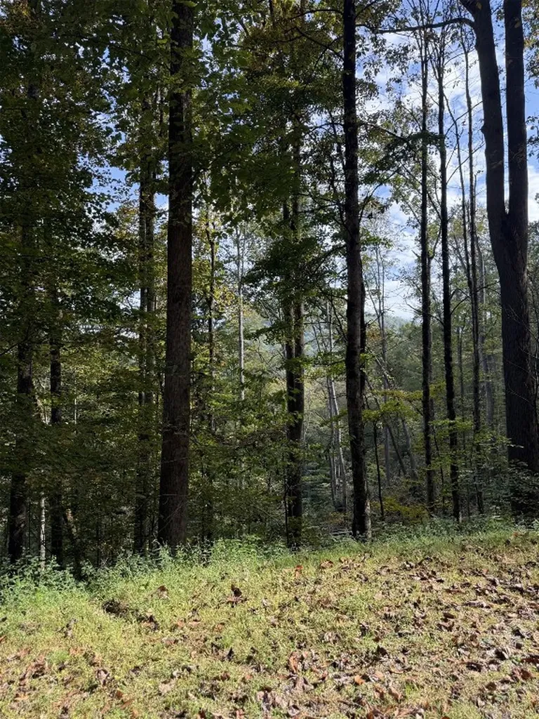 33 Vistawilla Drive Glenville NC 28736