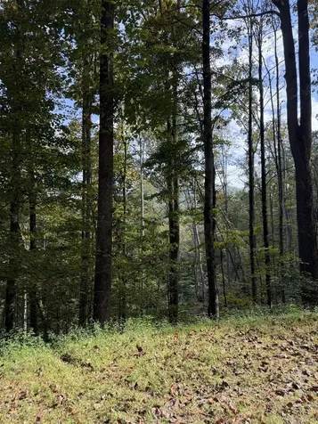 33 Vistawilla Drive Glenville NC 28736