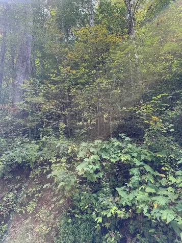 33 Vistawilla Drive Glenville NC 28736