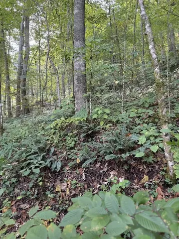 33 Vistawilla Drive Glenville NC 28736