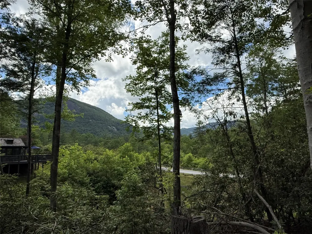63 Cats Eye Run Highlands NC 28741