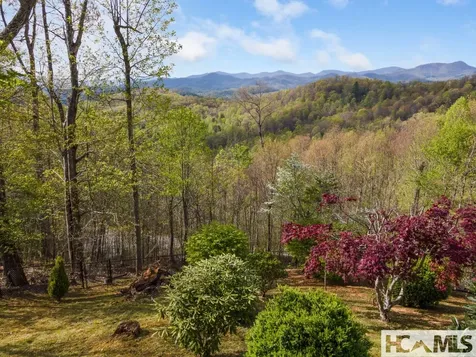 129 Skyline Park Drive Franklin NC 28734