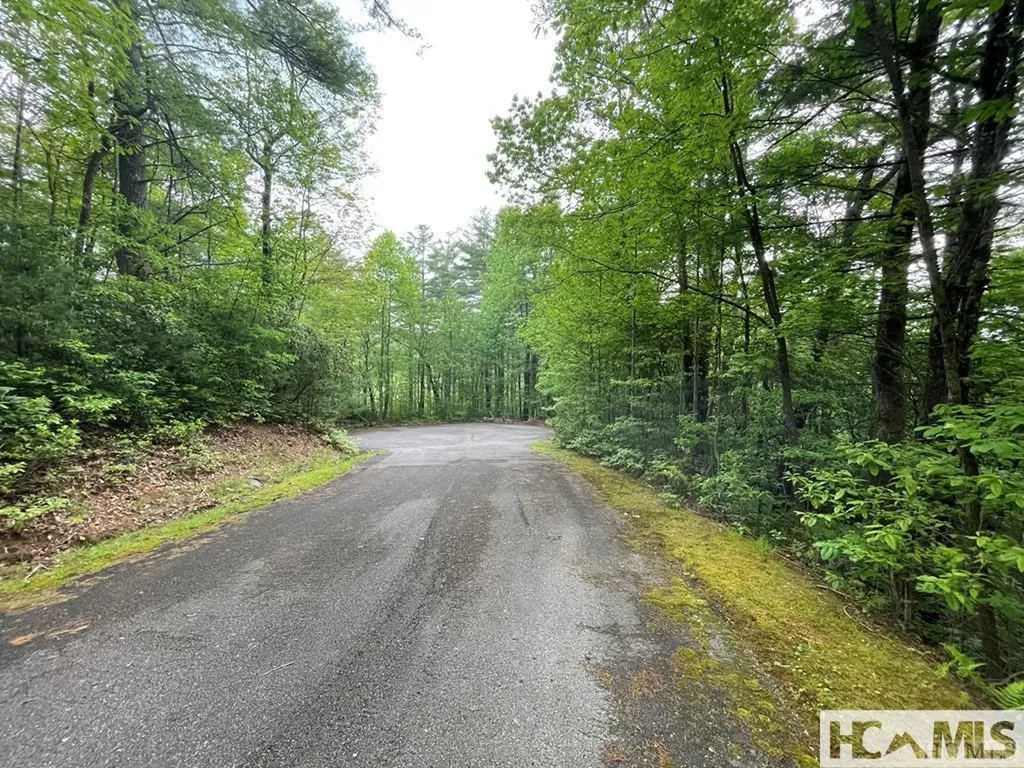 Lot 42fr Running Fox Road Sapphire NC 28774