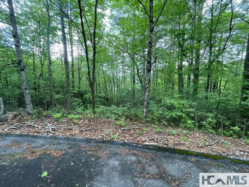 Lot 42fr Running Fox Road Sapphire NC 28774
