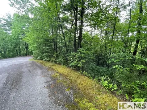 Lot 42fr Running Fox Road Sapphire NC 28774