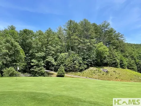 Lot 42fr Running Fox Extension Sapphire NC 28774