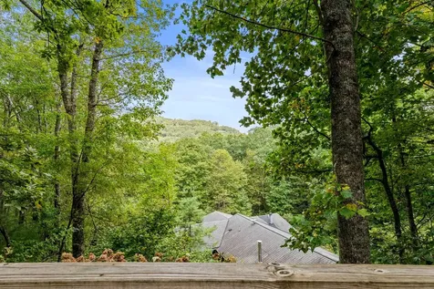 111 Wrights Road Scaly Mountain NC 28775