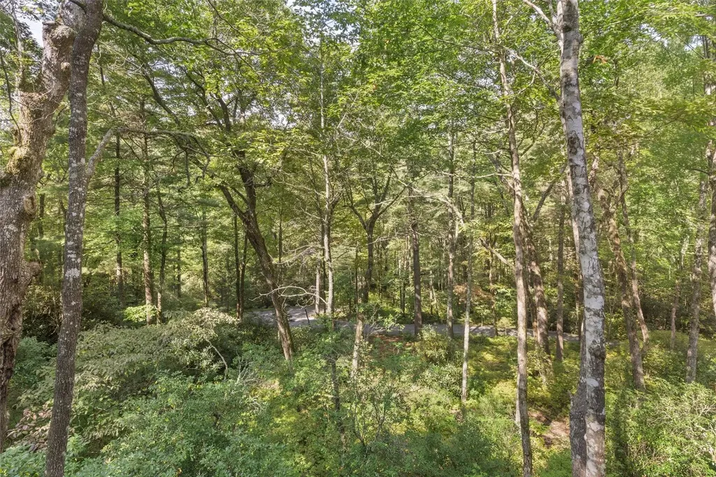 86 Meadow Ridge Cashiers NC 28717