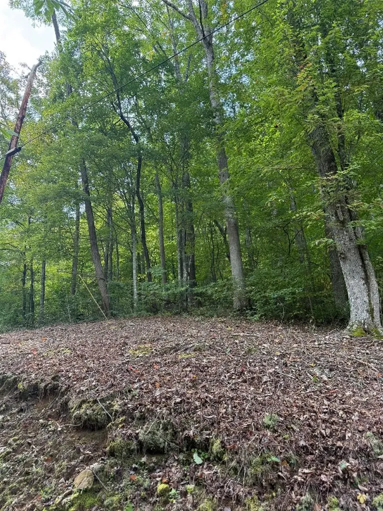 25 Big Pilot Mountain Glenville NC 28736