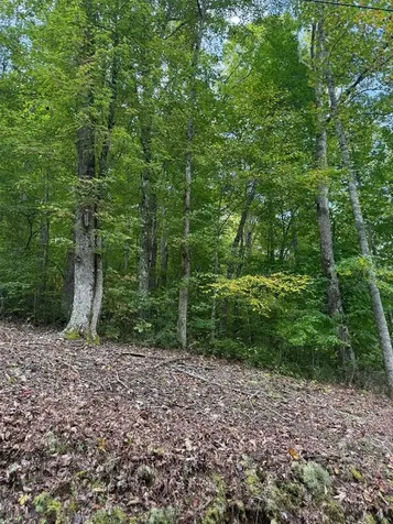 25 Big Pilot Mountain Glenville NC 28736