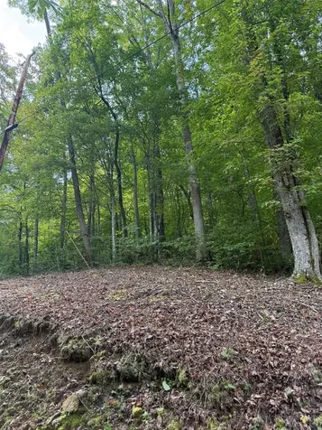 25 Big Pilot Mountain Glenville NC 28736