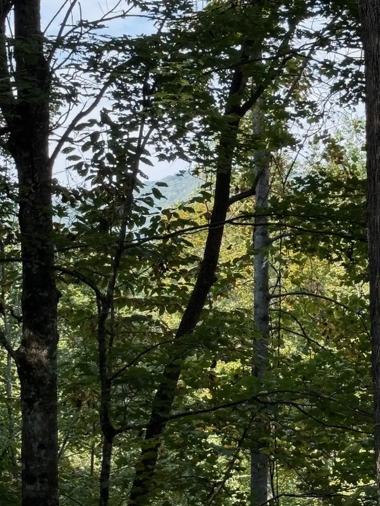 348 Parachute Ridge Glenville NC 28736