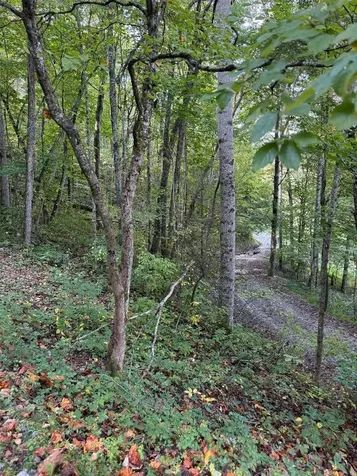 348 Parachute Ridge Glenville NC 28736