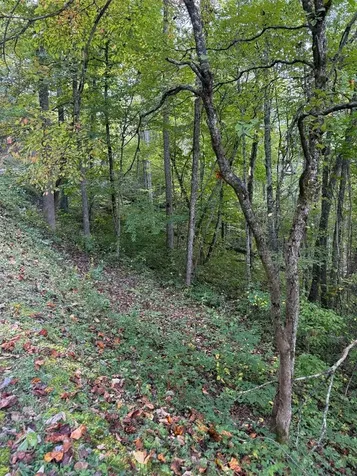 348 Parachute Ridge Glenville NC 28736