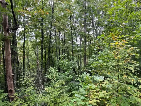 Lot 21 Woods Mountain Trail Cullowhee NC 28723