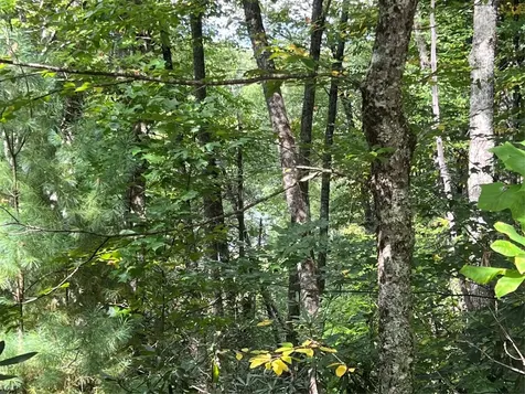 Lot 21 Woods Mountain Trail Cullowhee NC 28723