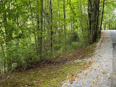 Lot 21 Woods Mountain Trail Cullowhee NC 28723