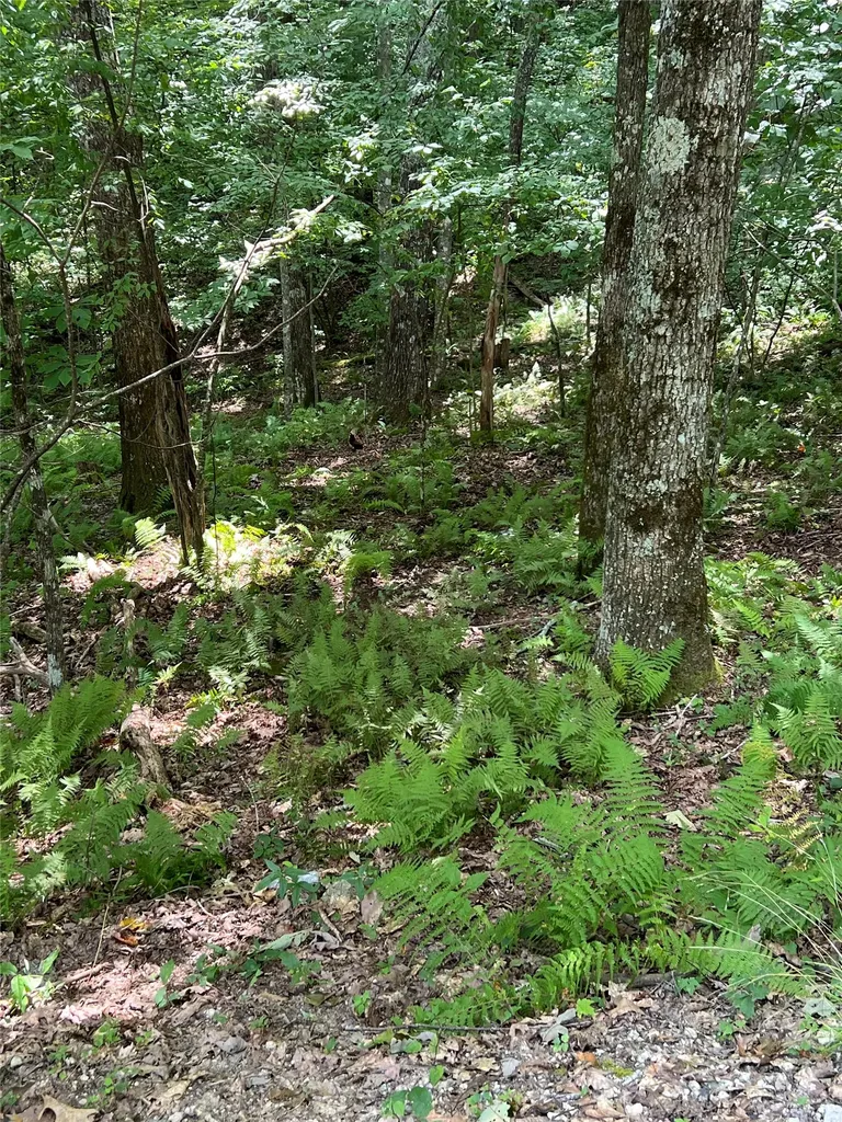 Lot 7 Sori Lane Sapphire NC 28774