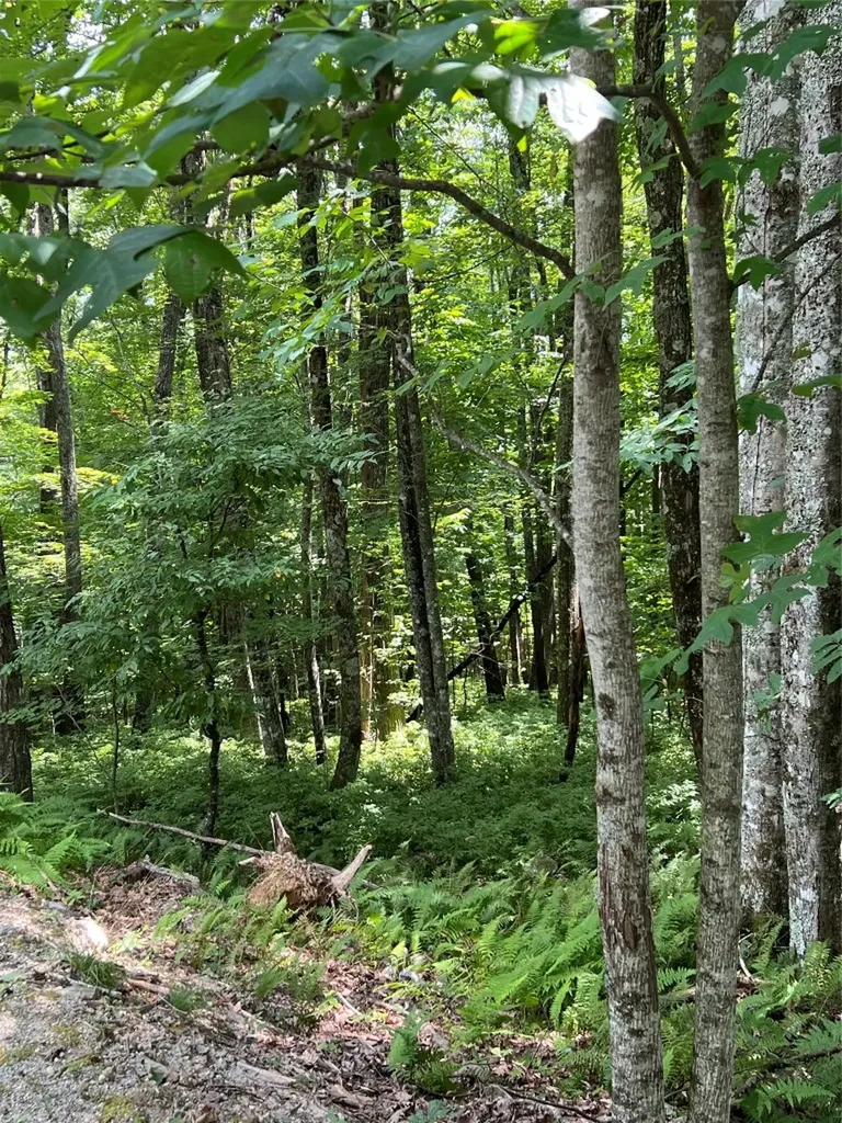 Lot 7 Sori Lane Sapphire NC 28774