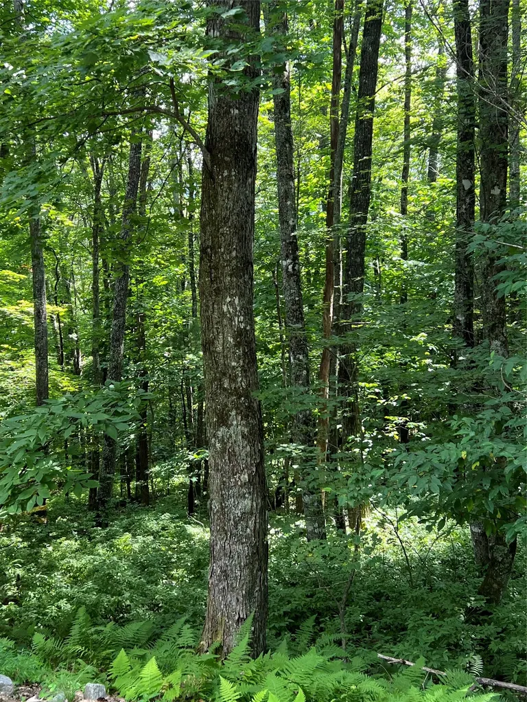 Lot 7 Sori Lane Sapphire NC 28774