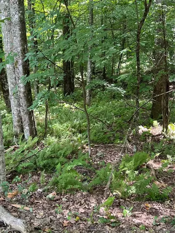 Lot 7 Sori Lane Sapphire NC 28774