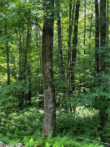 Lot 7 Sori Lane Sapphire NC 28774