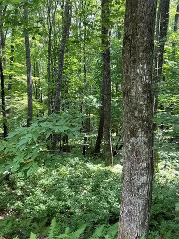 Lot 7 Sori Lane Sapphire NC 28774