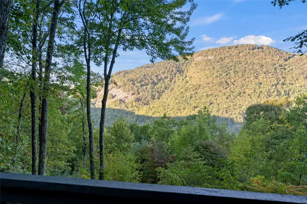 51 Clawsfoot Court Sapphire NC 28774