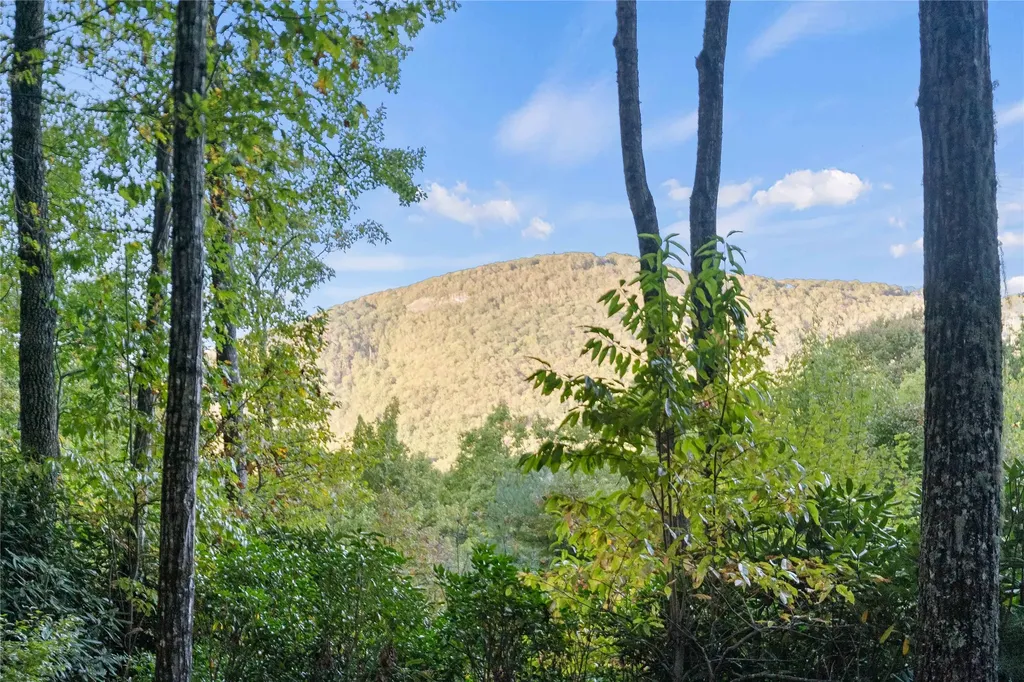 51 Clawsfoot Court Sapphire NC 28774