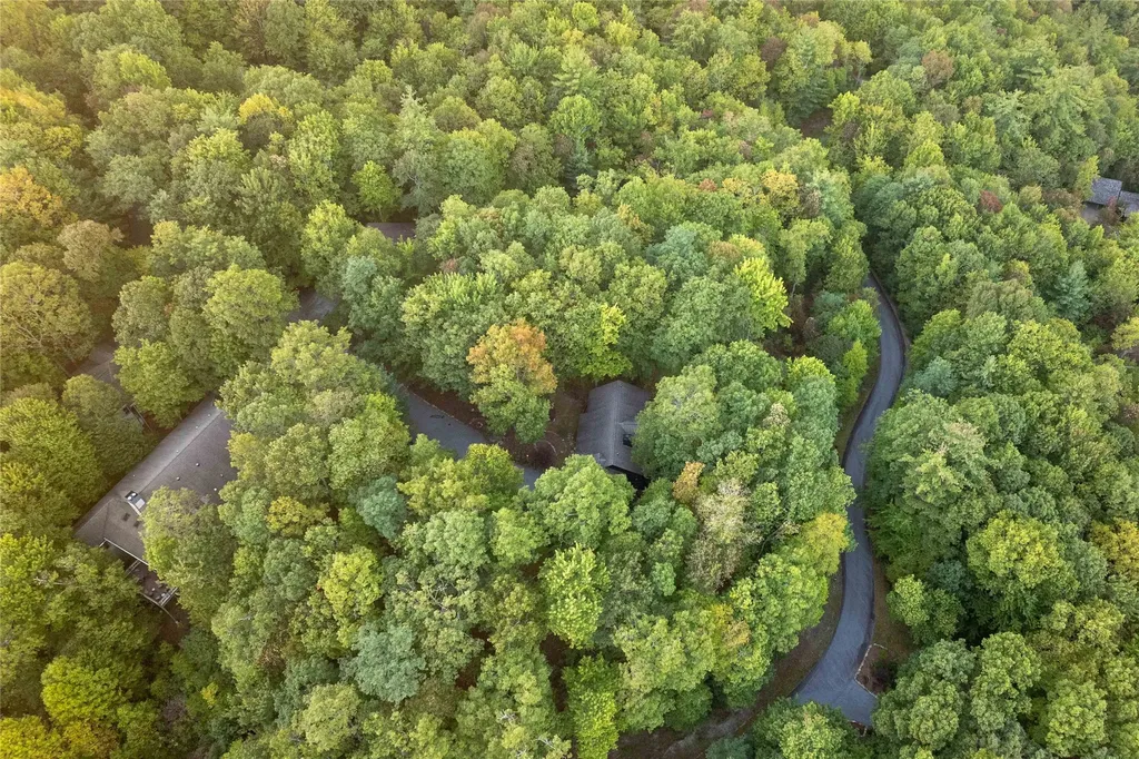 51 Clawsfoot Court Sapphire NC 28774