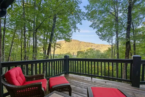 51 Clawsfoot Court Sapphire NC 28774