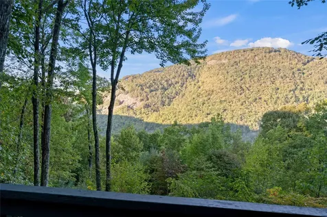 51 Clawsfoot Court Sapphire NC 28774